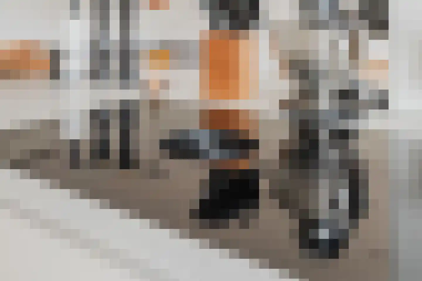 Nicolaas Beetsplantsoen 10 Amsterdam thumbnail 11