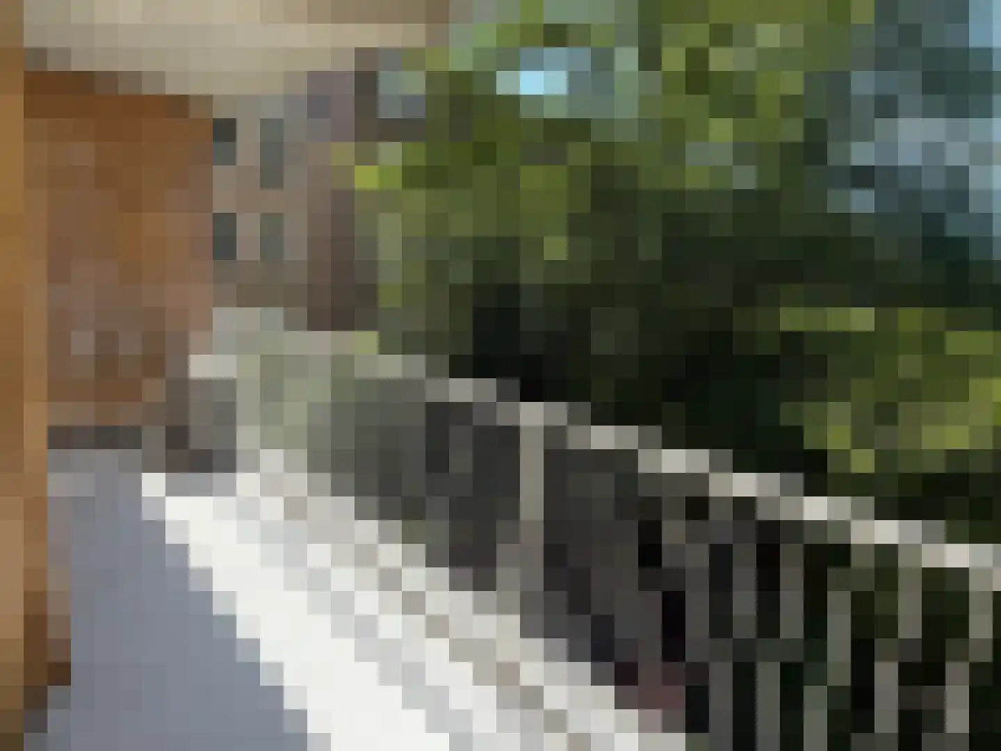 Nicolaas Beetsplantsoen 10 Amsterdam thumbnail 17