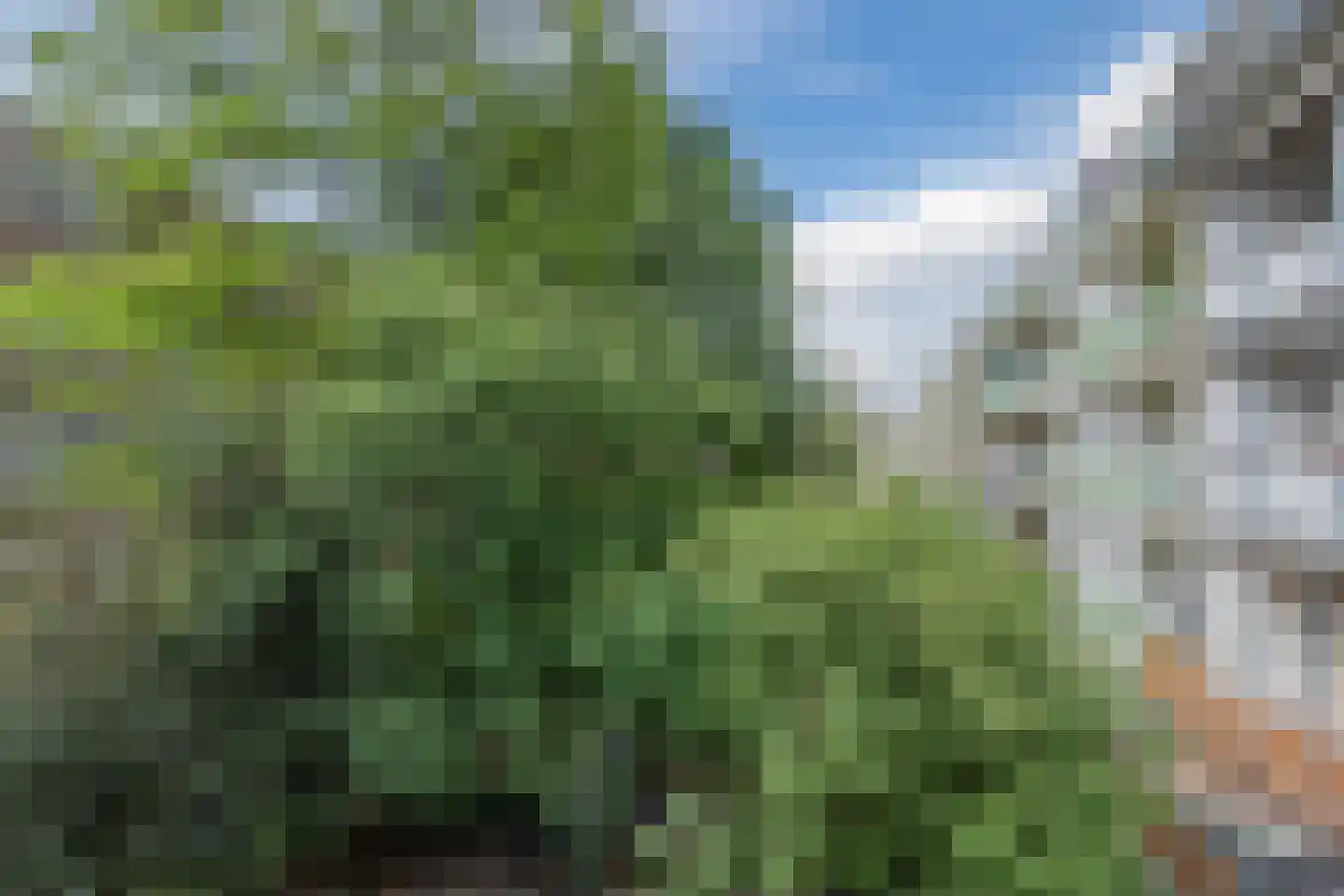 Nicolaas Beetsplantsoen 10 Amsterdam thumbnail 18
