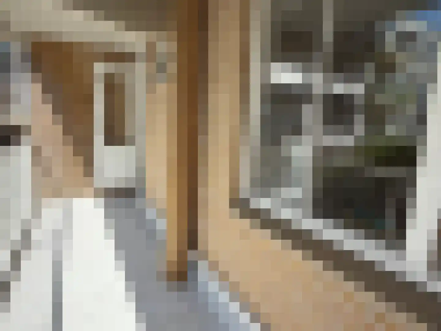 Nicolaas Beetsplantsoen 10 Amsterdam thumbnail 19