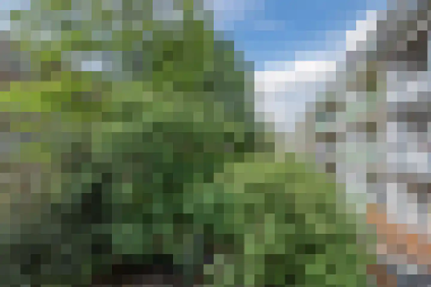 Nicolaas Beetsplantsoen 10 Amsterdam thumbnail 20