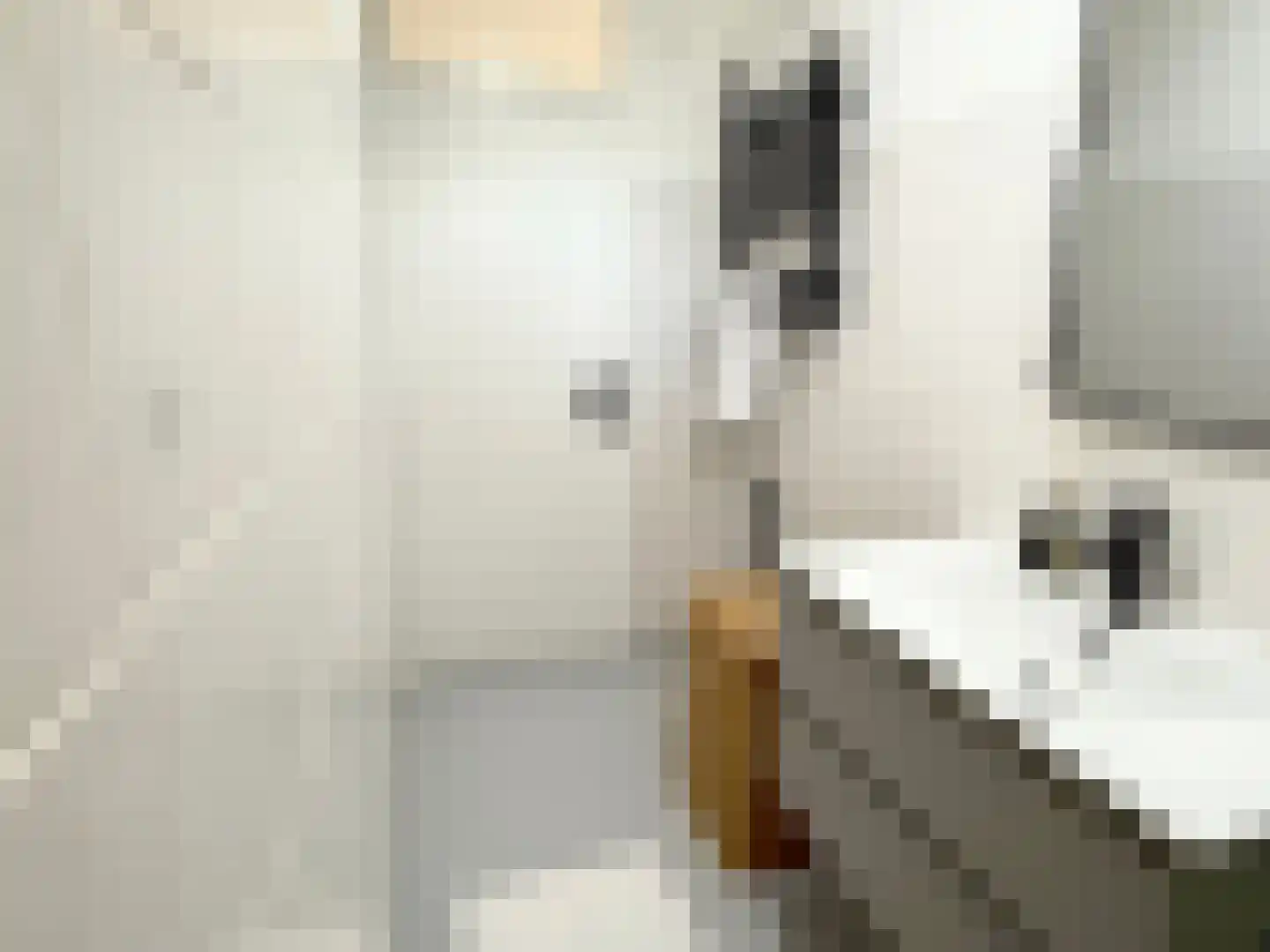 Nicolaas Beetsplantsoen 10 Amsterdam thumbnail 21