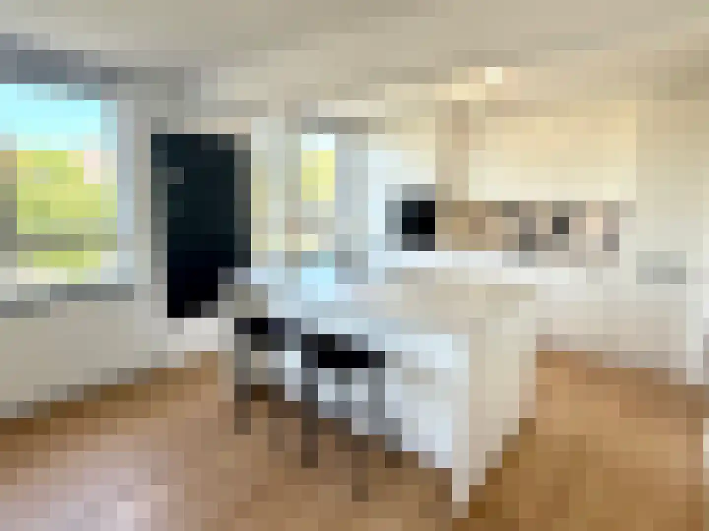 Nicolaas Beetsplantsoen 10 Amsterdam thumbnail 8