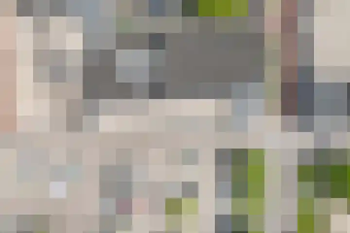 Nicolaas Beetsplein 107 a Hoogeveen thumbnail 25