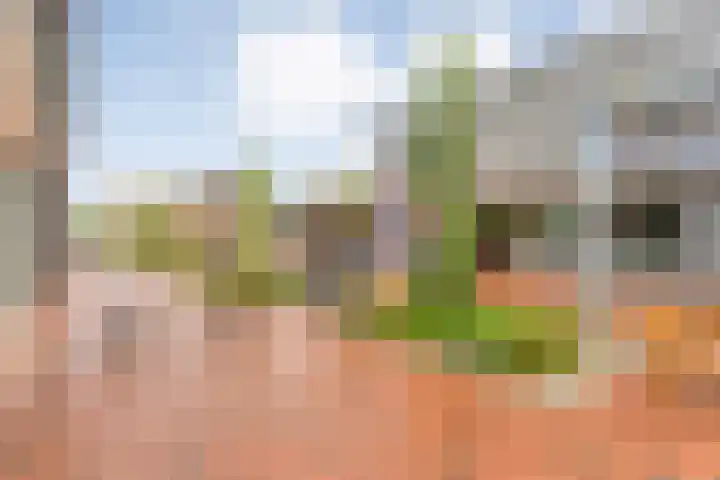 Nicolaas Beetsplein 109 Hoogeveen thumbnail 20