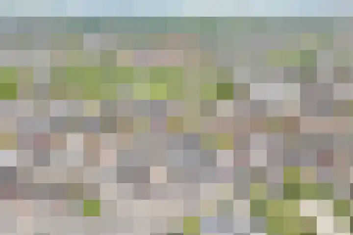 Nicolaas Beetsplein 111 a Hoogeveen thumbnail 17
