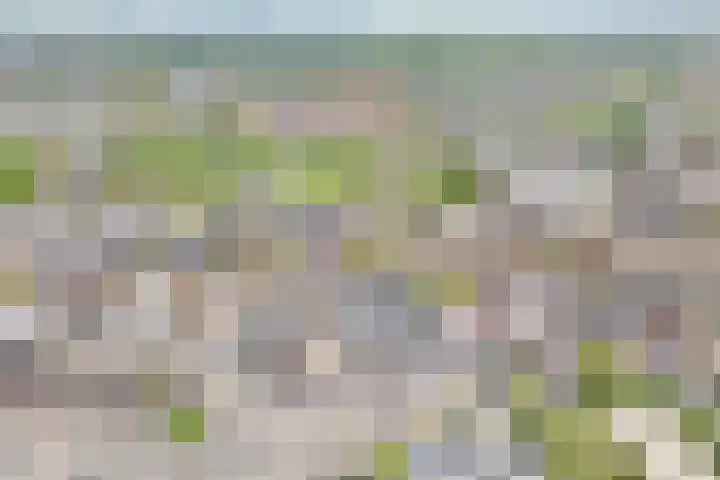 Nicolaas Beetsplein 113 Hoogeveen thumbnail 14