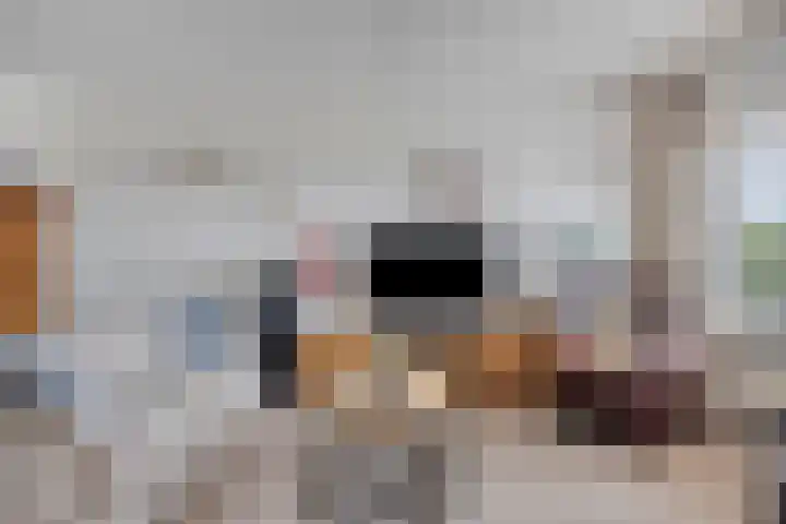 Nicolaas Beetsplein 39 Hoogeveen thumbnail 12