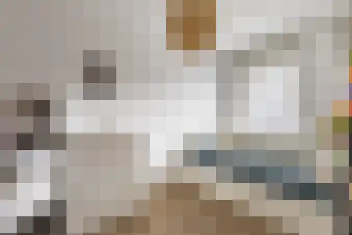 Nicolaas Beetsstraat 1 A Haarlem thumbnail 15
