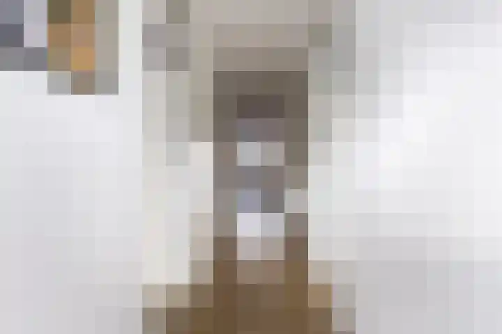 Nicolaas Beetsstraat 1 A Haarlem thumbnail 22