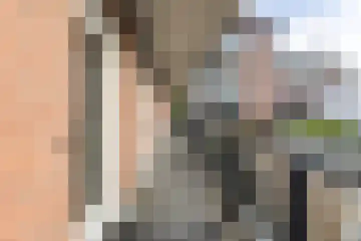 Nicolaas Beetsstraat 1 A Haarlem thumbnail 24
