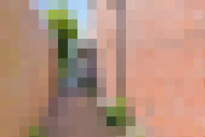 Nicolaas Beetsstraat 1 Enschede thumbnail 38