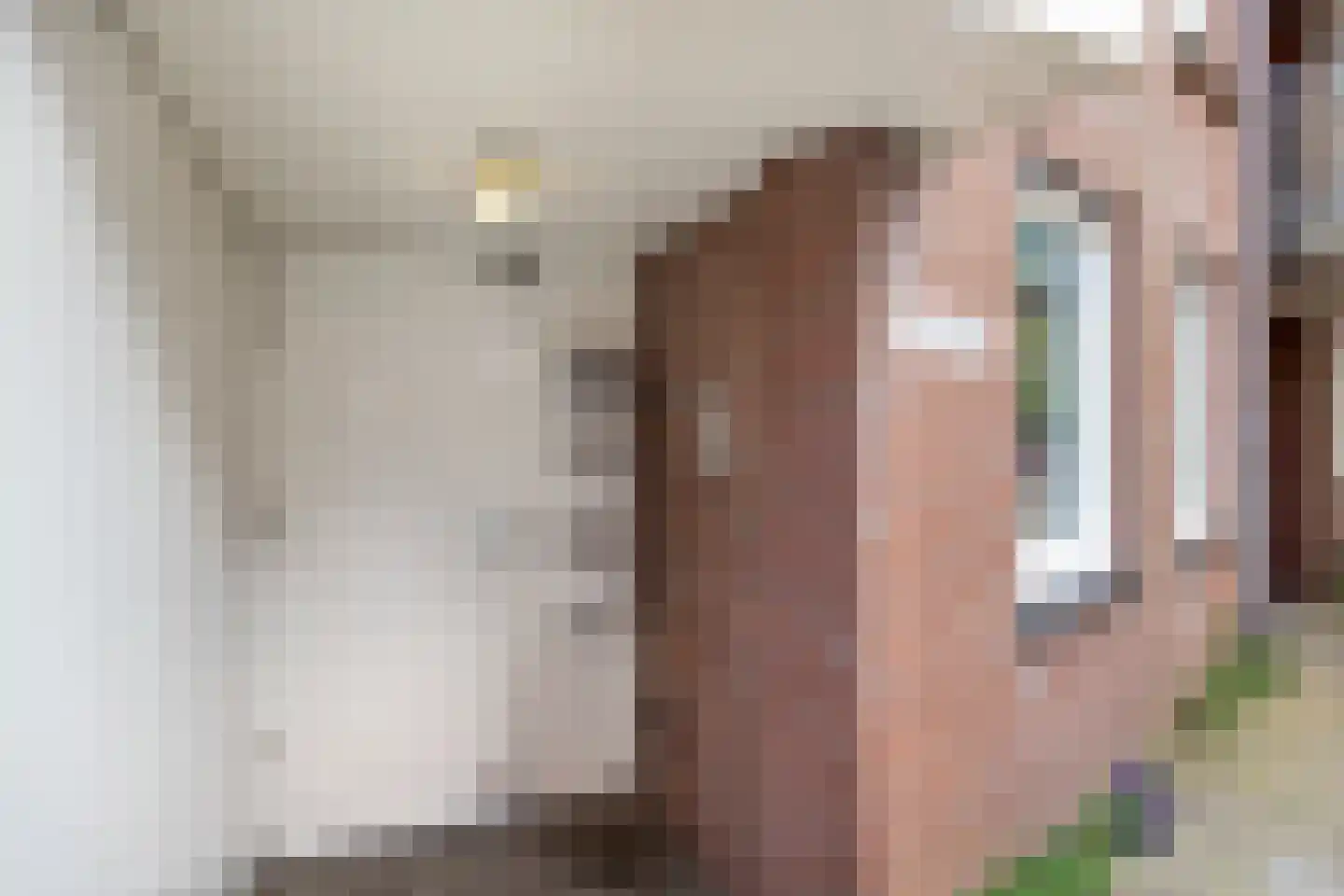 Nicolaas Beetsstraat 1 Haarlem thumbnail 19