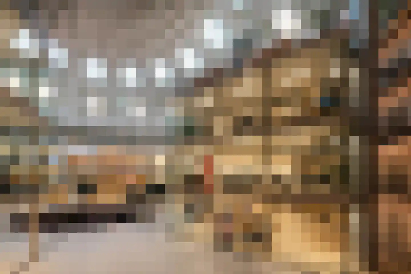 Nicolaas Beetsstraat 1 Haarlem thumbnail 27