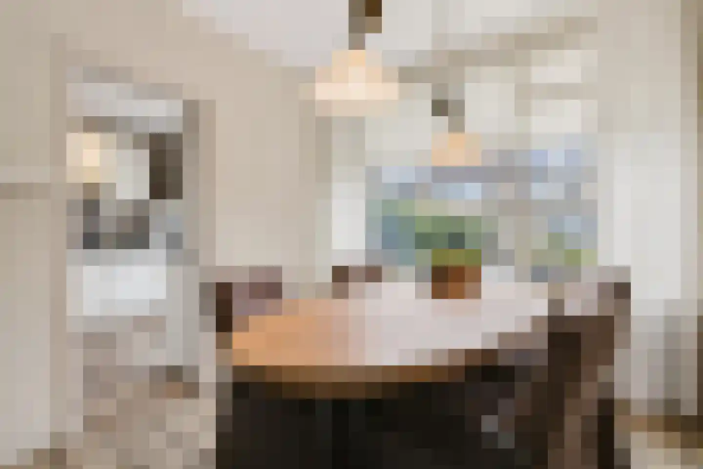 Nicolaas Beetsstraat 1 Hellevoetsluis thumbnail 11
