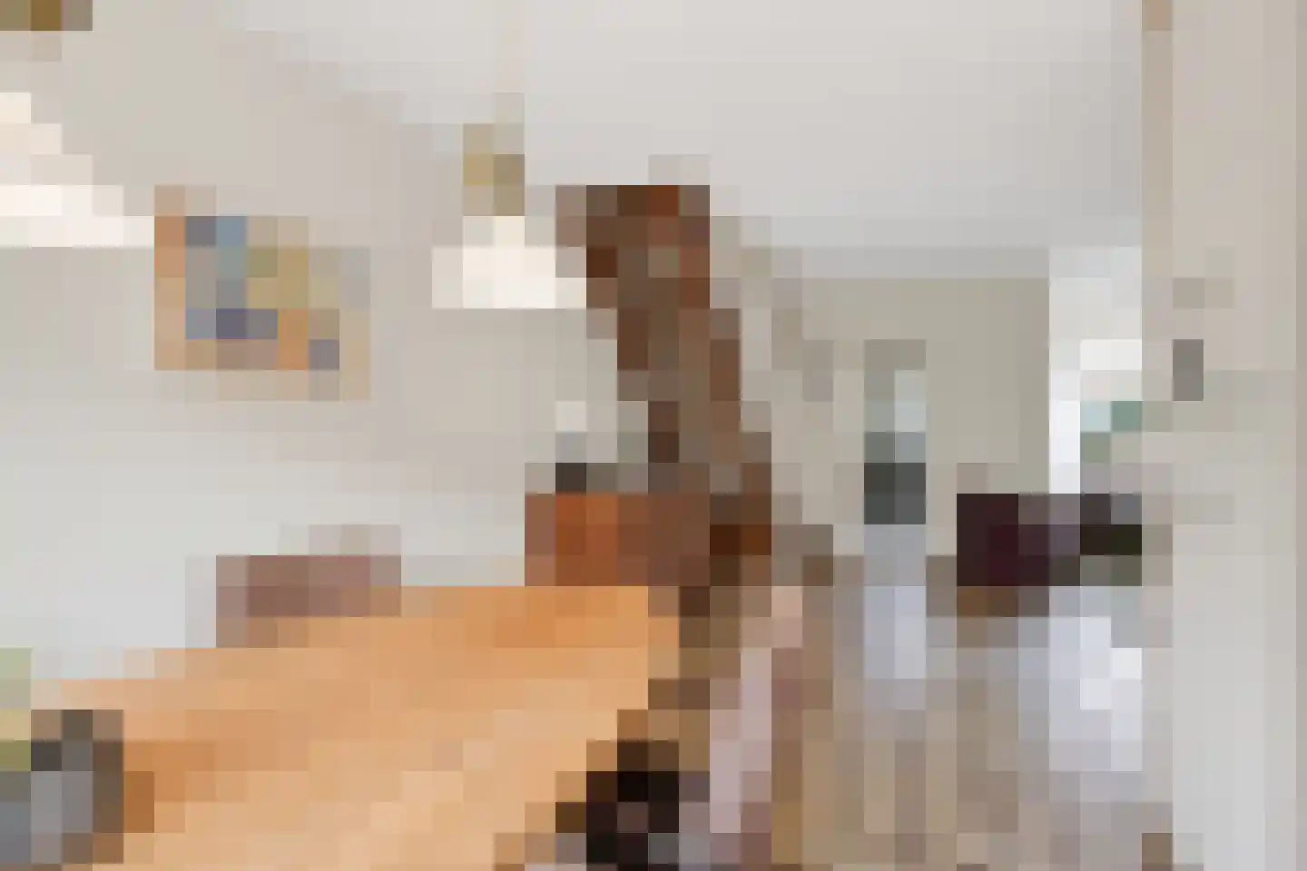 Nicolaas Beetsstraat 1 Hellevoetsluis thumbnail 15