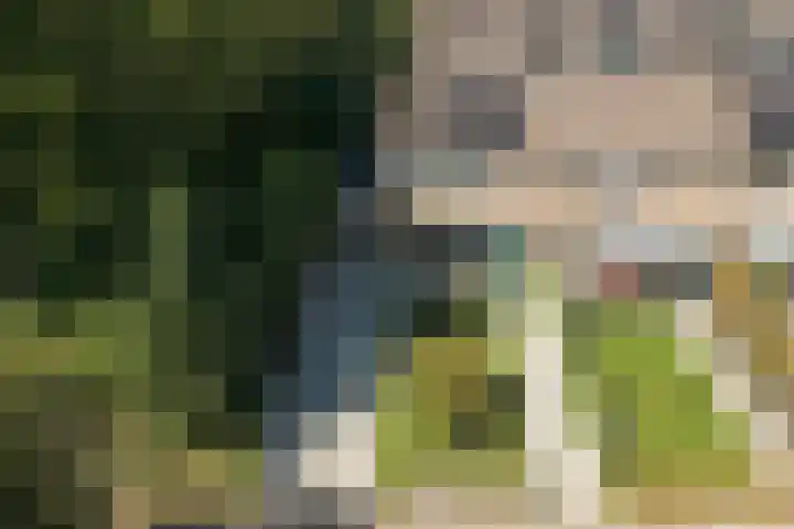 Nicolaas Beetsstraat 10 Harlingen thumbnail 37