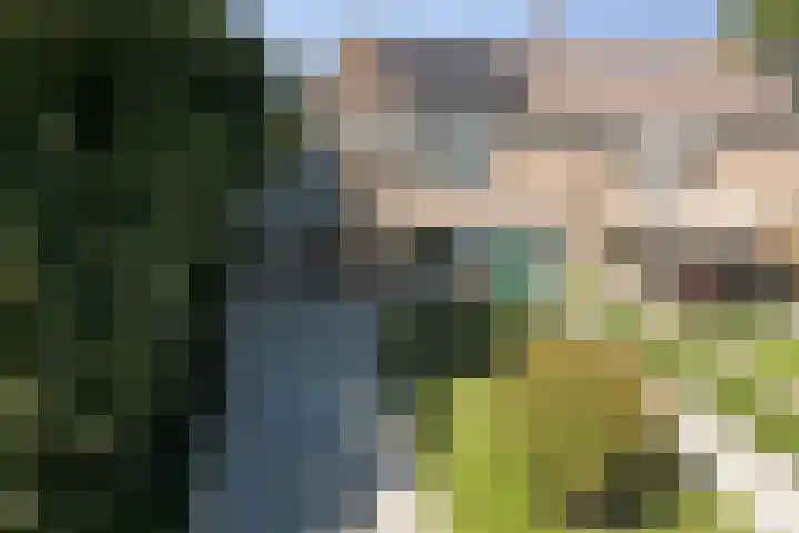 Nicolaas Beetsstraat 10 Harlingen thumbnail 38