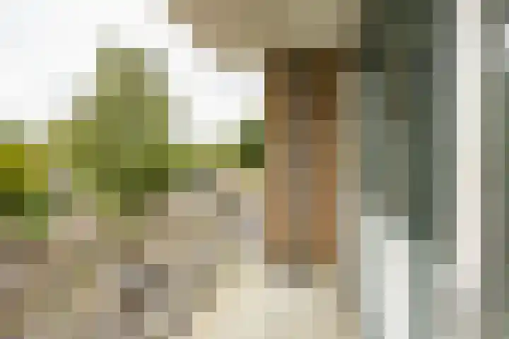 Nicolaas Beetsstraat 103 Groningen thumbnail 10