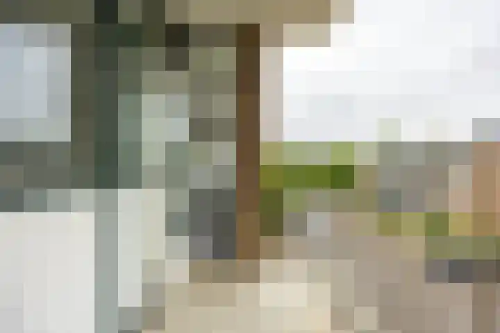 Nicolaas Beetsstraat 103 Groningen thumbnail 11