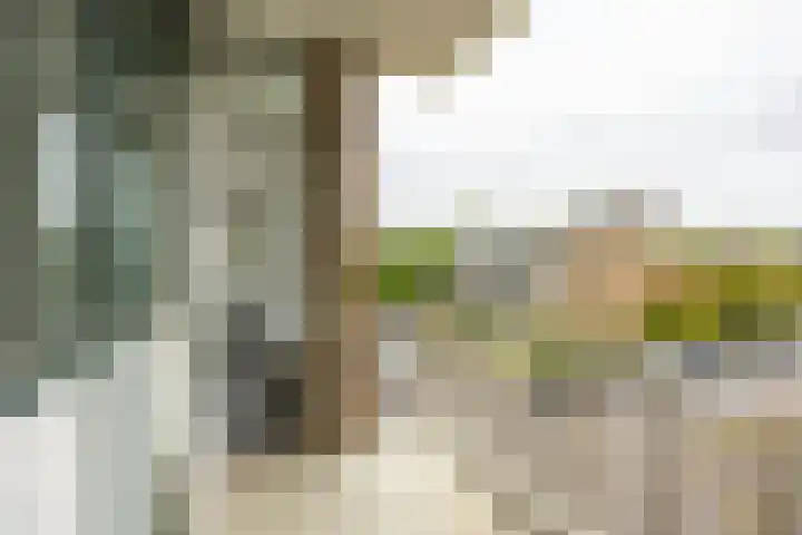 Nicolaas Beetsstraat 103 Groningen thumbnail 12