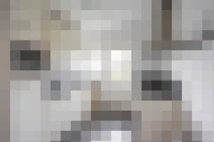 Nicolaas Beetsstraat 103 Groningen thumbnail 17
