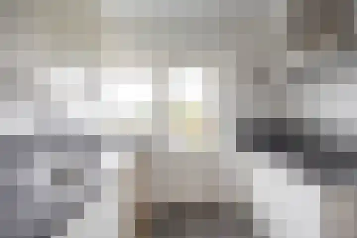 Nicolaas Beetsstraat 103 Groningen thumbnail 18