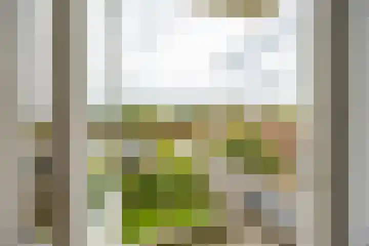 Nicolaas Beetsstraat 103 Groningen thumbnail 19