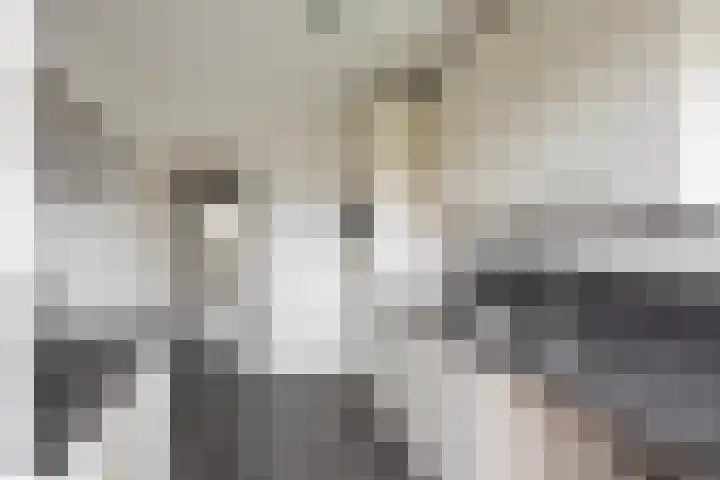 Nicolaas Beetsstraat 103 Groningen thumbnail 20
