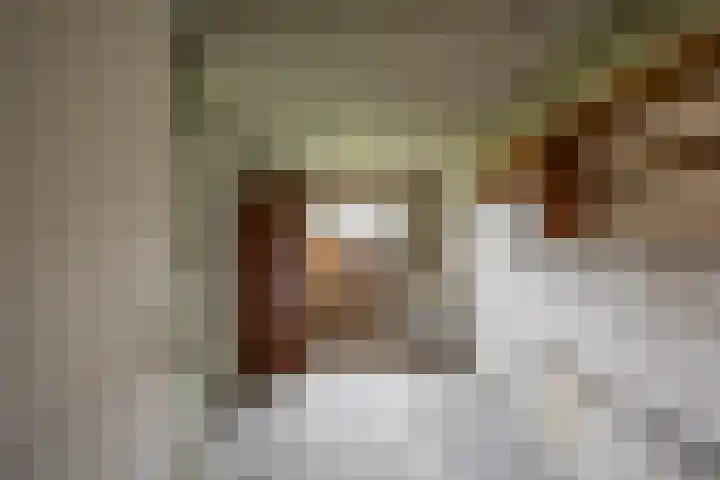 Nicolaas Beetsstraat 103 Groningen thumbnail 30