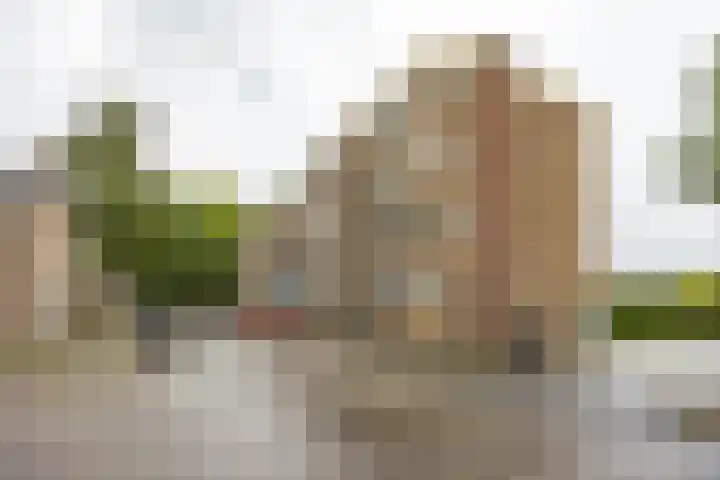 Nicolaas Beetsstraat 103 Groningen thumbnail 31