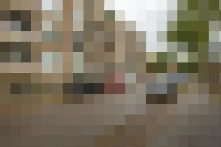 Nicolaas Beetsstraat 103 Groningen thumbnail 32