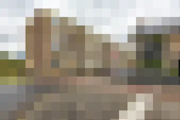 Nicolaas Beetsstraat 103 Groningen thumbnail 33