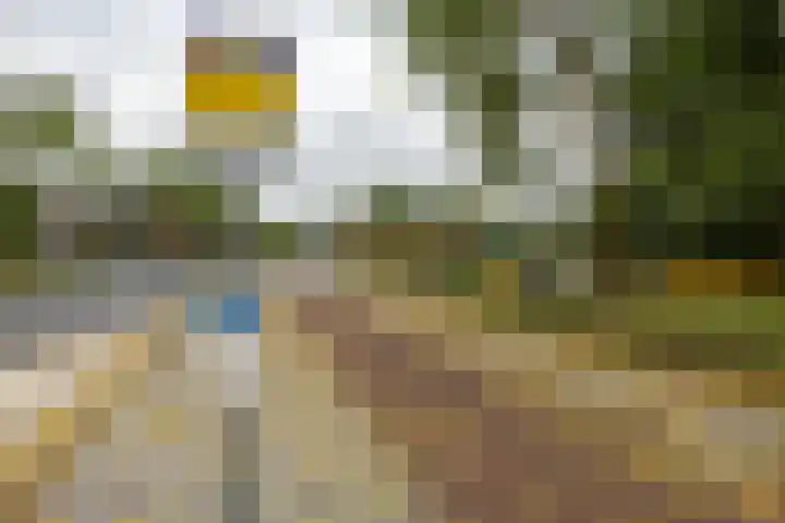 Nicolaas Beetsstraat 103 Groningen thumbnail 34