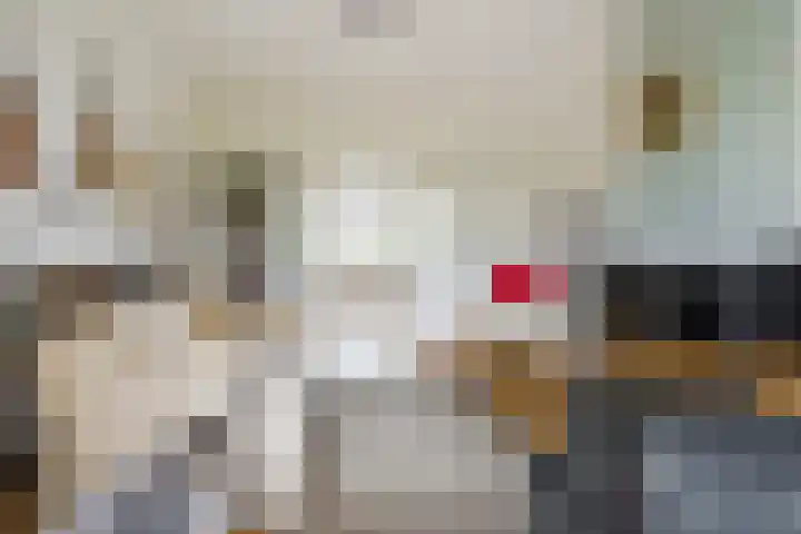 Nicolaas Beetsstraat 11 Eindhoven thumbnail 11