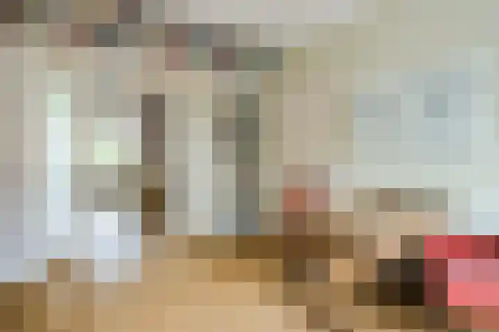 Nicolaas Beetsstraat 11 Eindhoven thumbnail 12