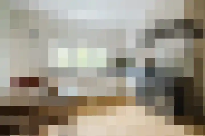 Nicolaas Beetsstraat 11 Eindhoven thumbnail 15