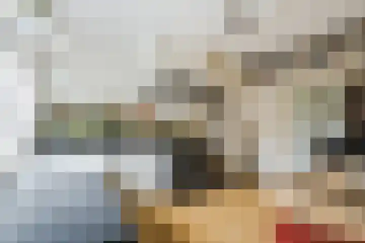 Nicolaas Beetsstraat 11 Eindhoven thumbnail 16