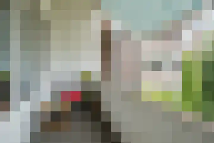 Nicolaas Beetsstraat 11 Eindhoven thumbnail 19
