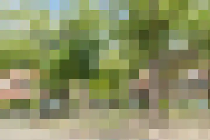 Nicolaas Beetsstraat 11 Eindhoven thumbnail 23