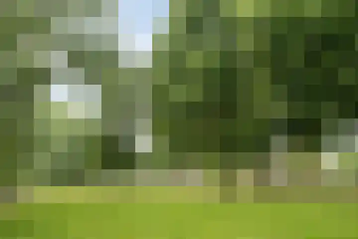 Nicolaas Beetsstraat 11 Eindhoven thumbnail 24