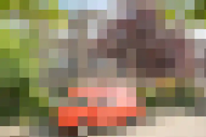 Nicolaas Beetsstraat 11 Eindhoven thumbnail 4