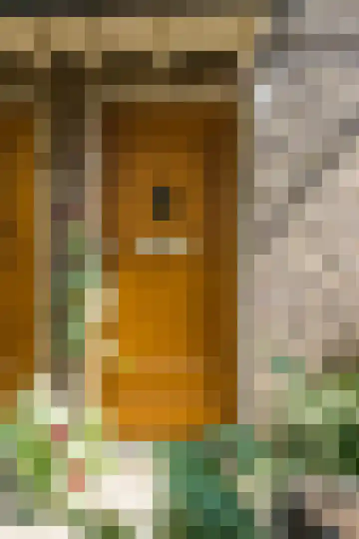 Nicolaas Beetsstraat 11 Eindhoven thumbnail 5
