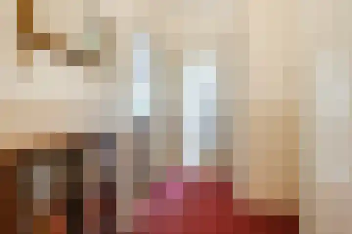 Nicolaas Beetsstraat 11 Eindhoven thumbnail 8