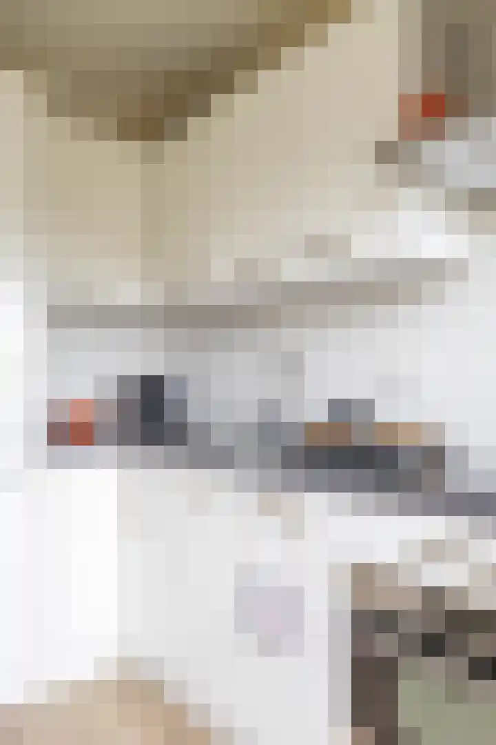 Nicolaas Beetsstraat 115 Groningen thumbnail 21