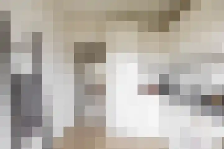 Nicolaas Beetsstraat 115 Groningen thumbnail 23
