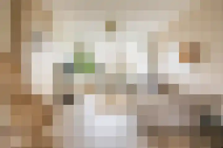 Nicolaas Beetsstraat 115 Groningen thumbnail 25