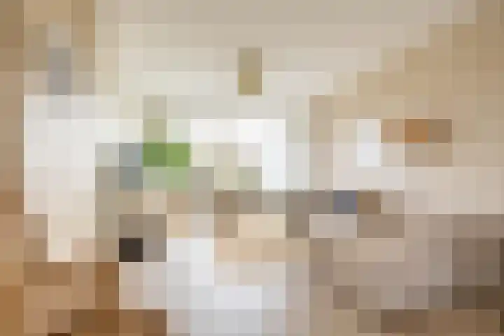 Nicolaas Beetsstraat 115 Groningen thumbnail 26