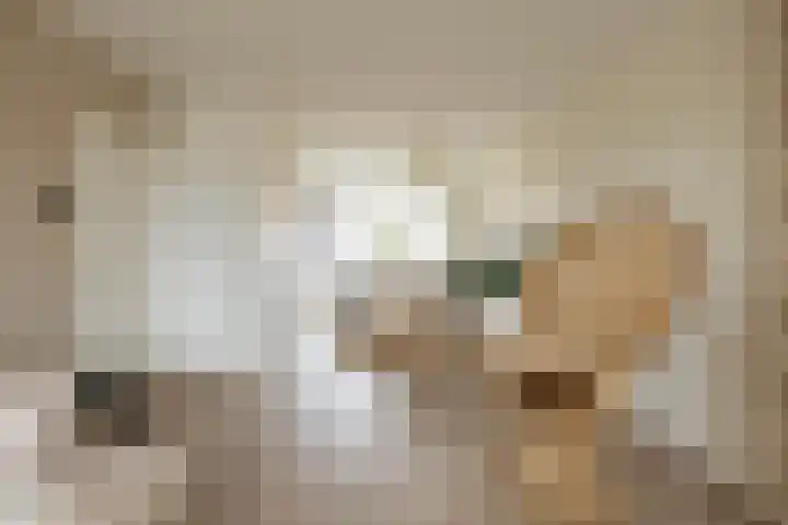Nicolaas Beetsstraat 115 Groningen thumbnail 30