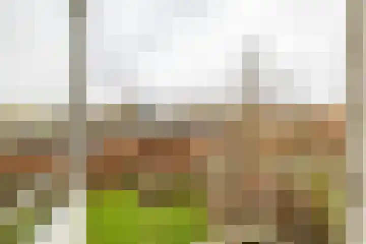 Nicolaas Beetsstraat 115 Groningen thumbnail 33